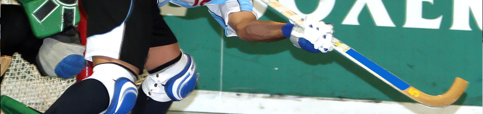 Goalie Composite sticks